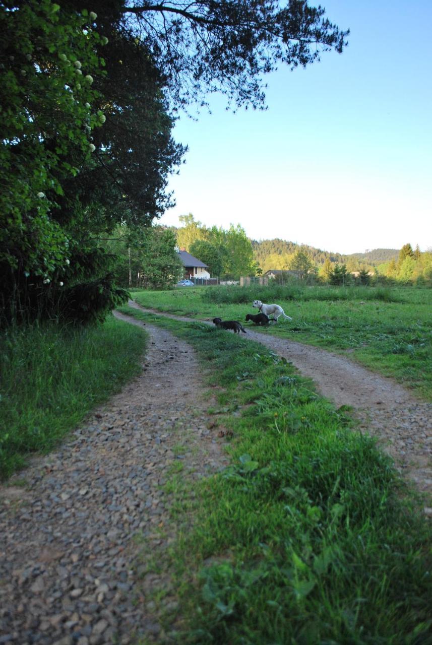 Adrspach U Meieru Guest House Exterior photo